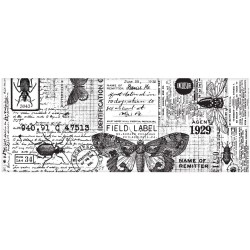 TimHoltz IdeaOlogy Collage Paper 6yds - Entomology
