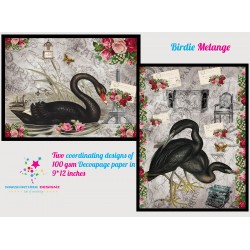 Nakshathra Designz Decoupage paper - Birdie Melange
