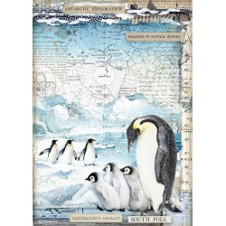 Stamperia Rice Paper A4 - Penguins, Arctic Antarctic
