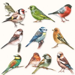German Decoupage Napkins (5 pcs)  - Collection of Birds