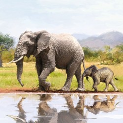 German Decoupage Napkins (5 pcs)  - Elephants