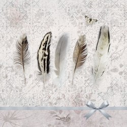 German Decoupage Napkins (5 pcs)  - Feathers