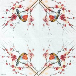 German Decoupage Napkins (5 pcs)  - Birdy Robin