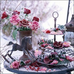 German Decoupage Napkins (5 pcs)  - Frozen Roses