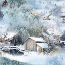German Decoupage Napkins (5 pcs)  - Flying Owl (Christmas)