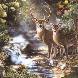 A pack of 12 by 12 inch German Decoupage Napkins ( 5 pcs )  - Deers on Creek