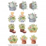 CrafTangles A4 Transfer It Sheets - Succulents Love