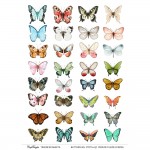 CrafTangles A4 Transfer It Sheets - Butterflies