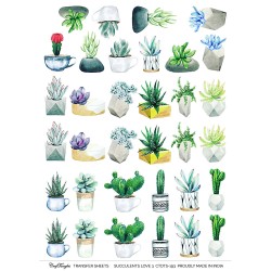 CrafTangles A4 Transfer It Sheets - Succulents Love 3
