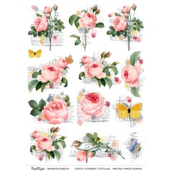 CrafTangles A4 Transfer It Sheets - Exotic Flowers 1