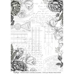CrafTangles A4 Transfer It Sheets - Botanical Blooms 1