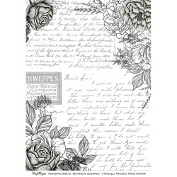 CrafTangles A4 Transfer It Sheets - Botanical Blooms 2