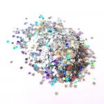CrafTangles Shaker Elements - Silver Shimmer Stars (10 gms)