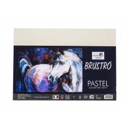 Brustro Pastel Assorted Soft 160 GSM A4 Pack of 20 Sheets
