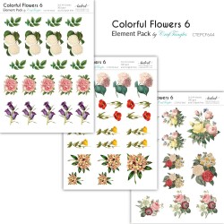 CrafTangles Elements Pack  - Colorful Flowers 6 (3 sheets of A4)