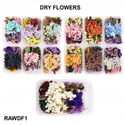 A box of Dried Flowers (RAWDF-1)