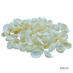 Craft Shells (100 grams) (SAFC-01)
