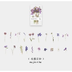 Box Clear PET Flowers Stickers (40 pcs) - Flowers (AQ211007)