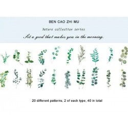 Clear PET Nature Stickers (40 pcs) - Eucalyptus Leaves