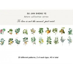 Clear PET Nature Stickers (40 pcs) - Mini Plant Trees