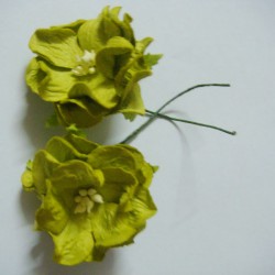 Curled Flowers (Large)  - Green (Pack of 5 flowers)