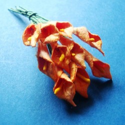 Tulip - Orange