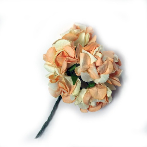 Paper flowers - Cream and Orange (Pack of 24 flowers)